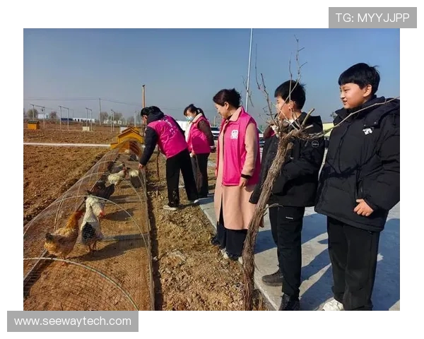 克罗斯在足球世界中的传奇之路与技术解析：从青涩少年到顶级中场巨星的成长历程